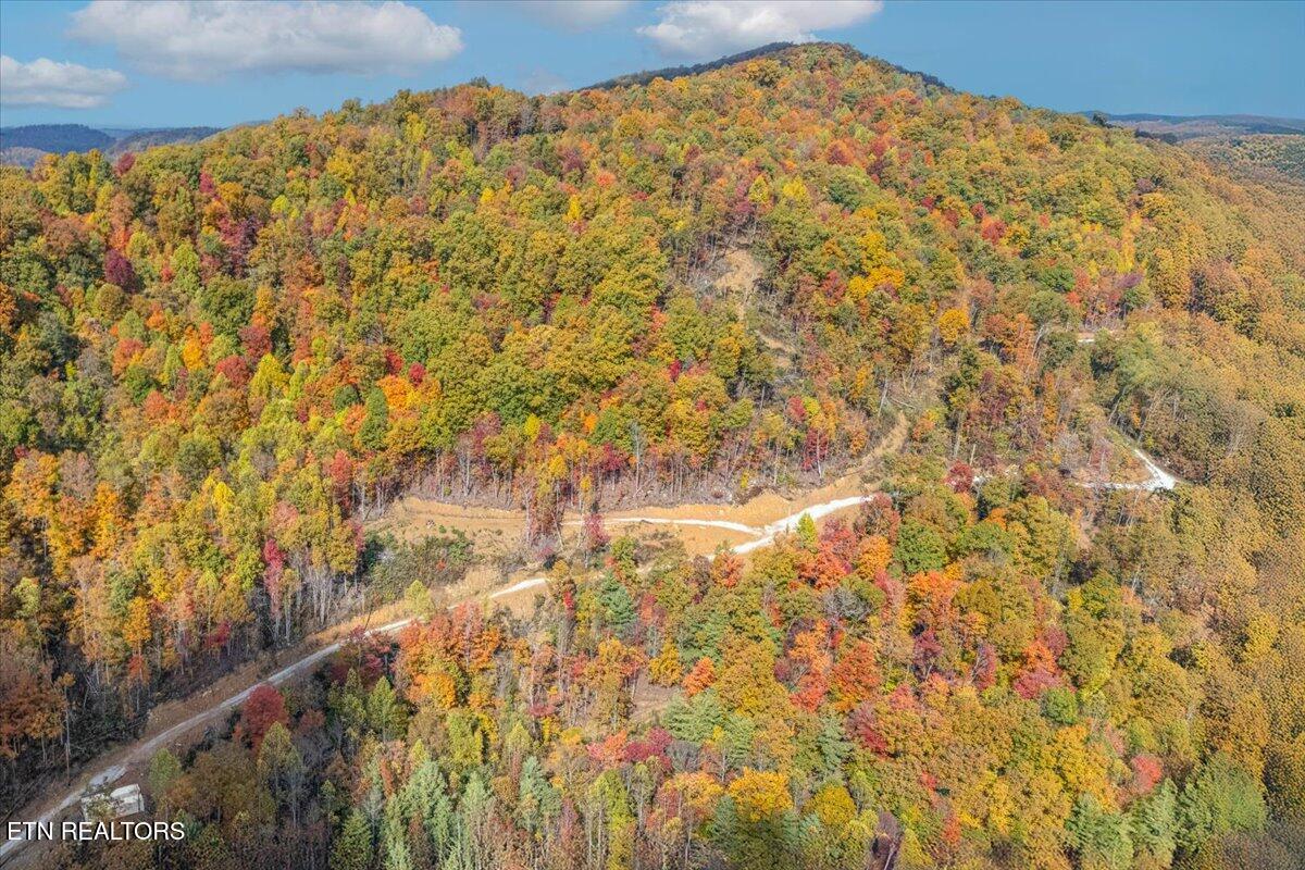 00 Buffalo Road Oneida TN 37841