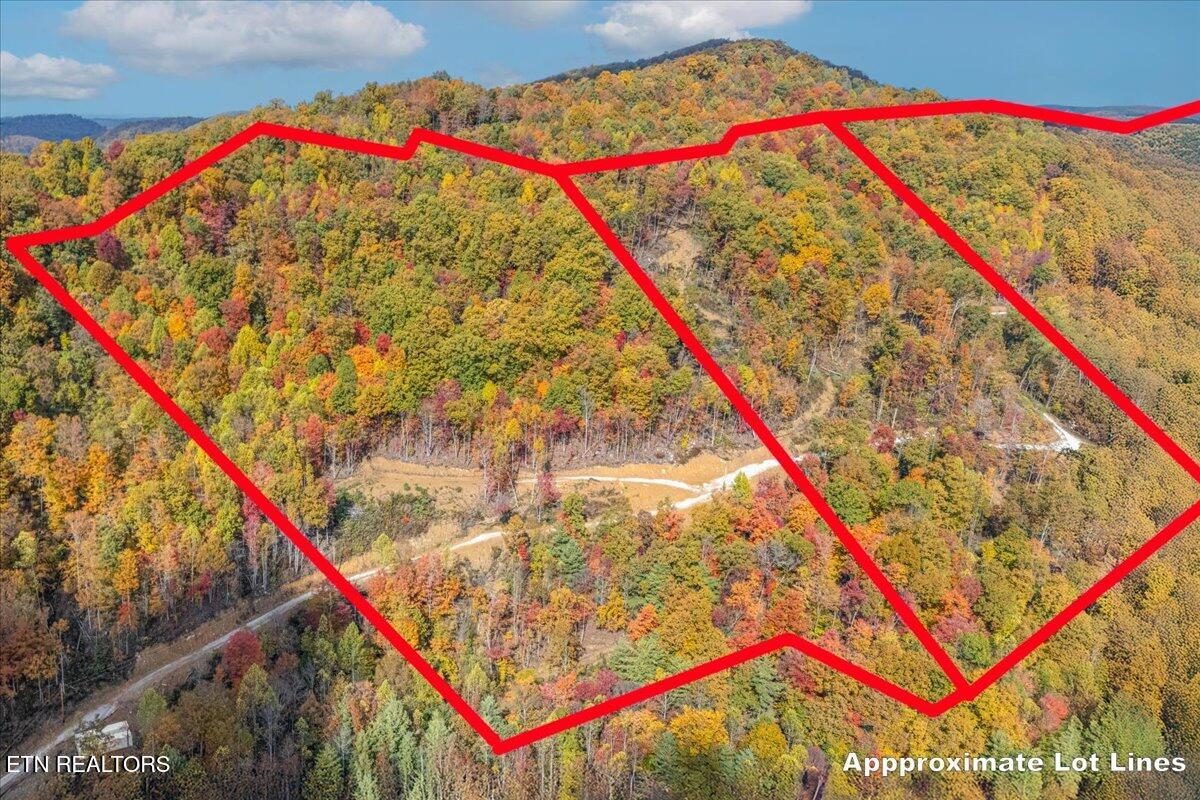00 Buffalo Road Oneida TN 37841
