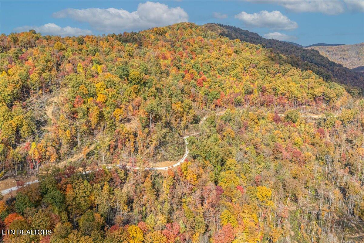 00 Buffalo Road Oneida TN 37841