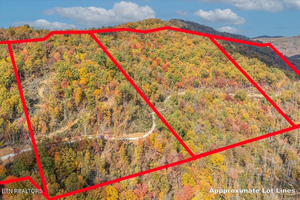 00 Buffalo Road Oneida TN 37841