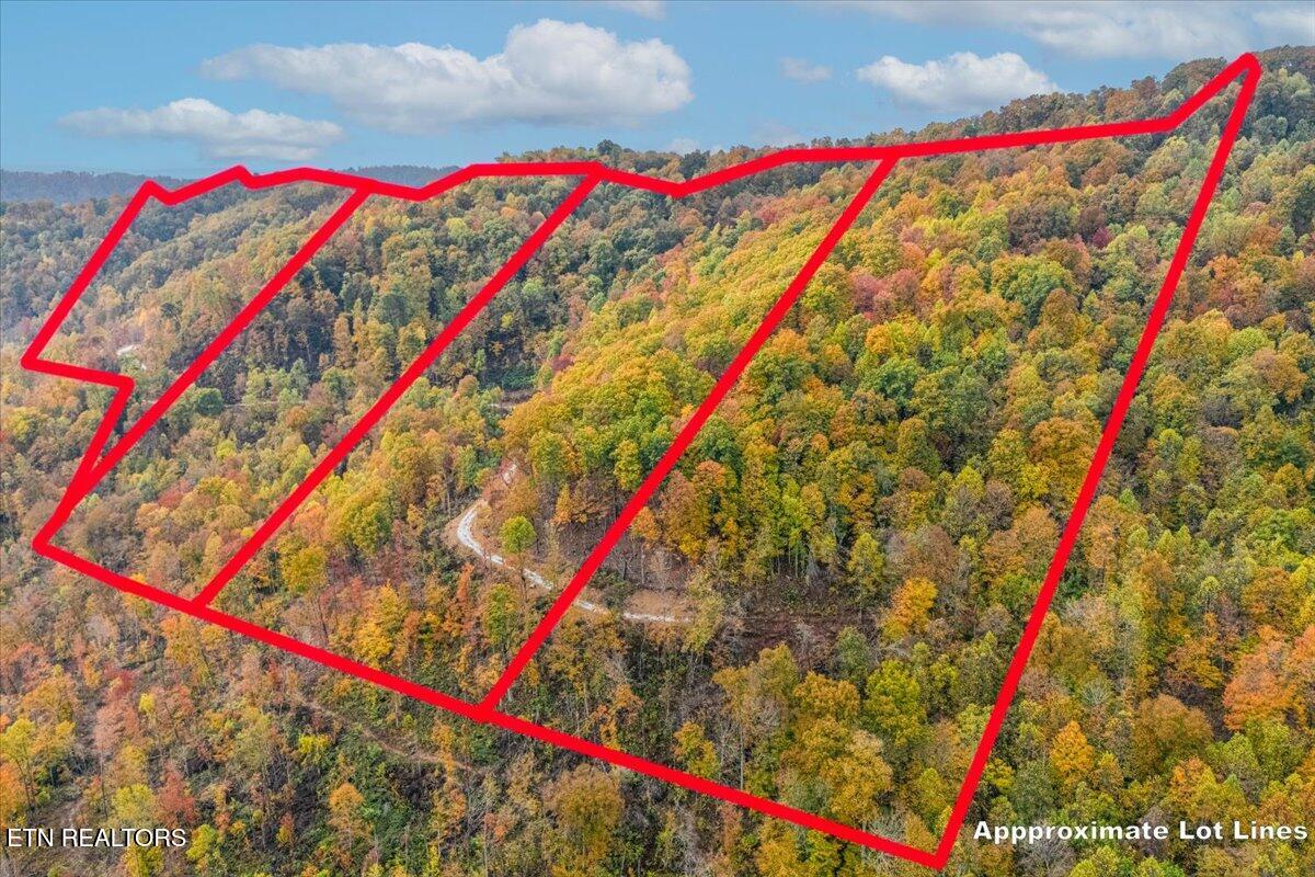 00 Buffalo Road Oneida TN 37841