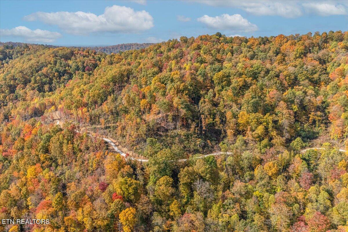 00 Buffalo Road Oneida TN 37841