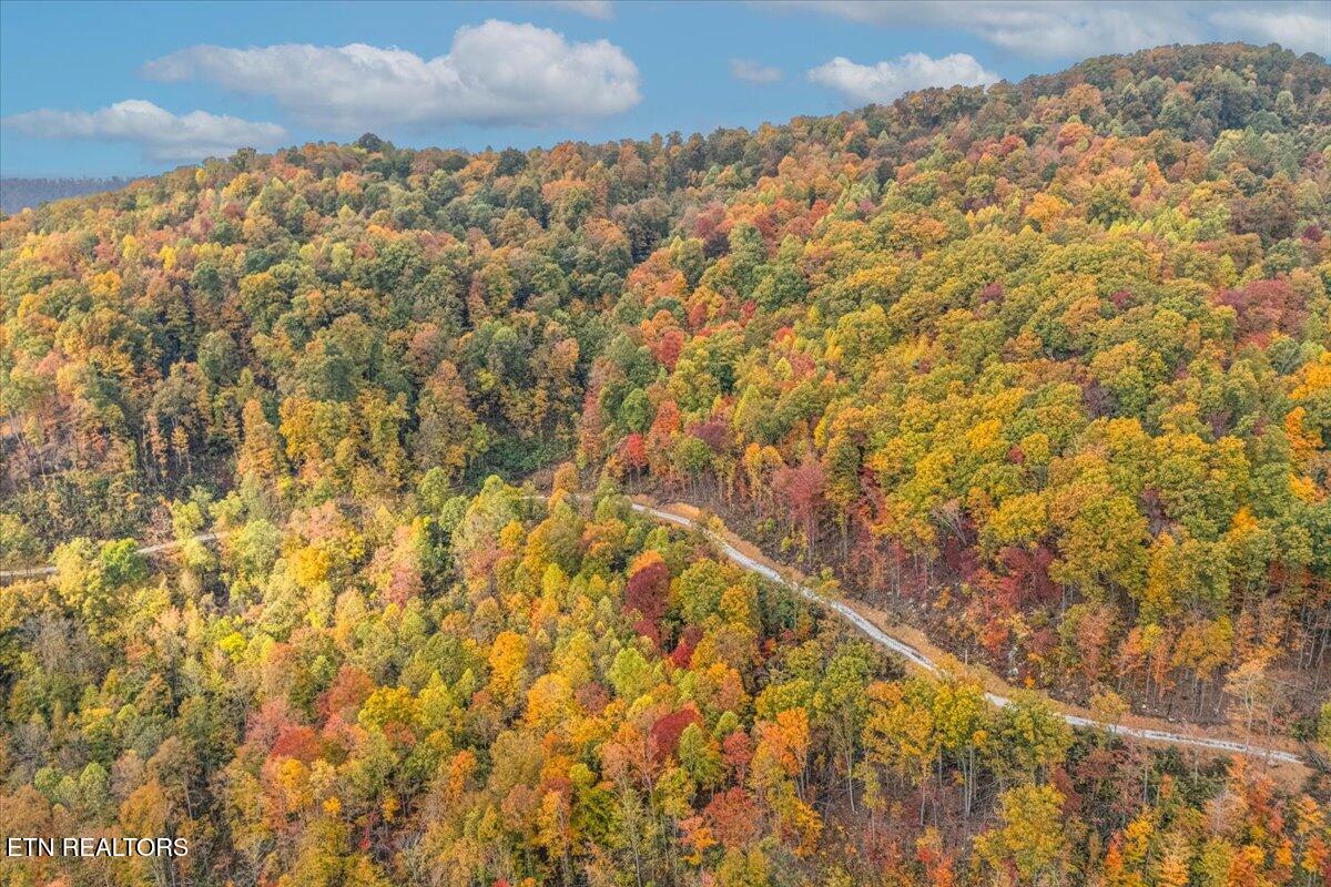 00 Buffalo Road Oneida TN 37841