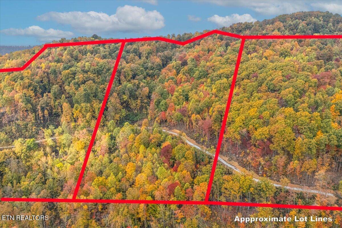 00 Buffalo Road Oneida TN 37841