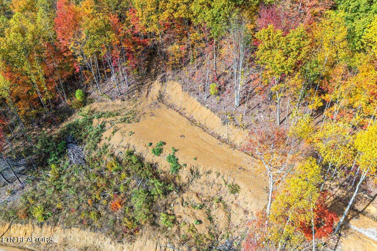 00 Buffalo Road Oneida TN 37841