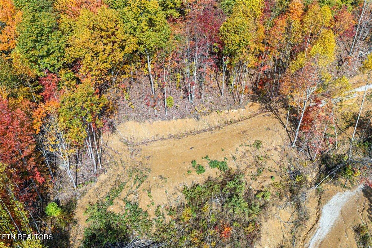 00 Buffalo Road Oneida TN 37841