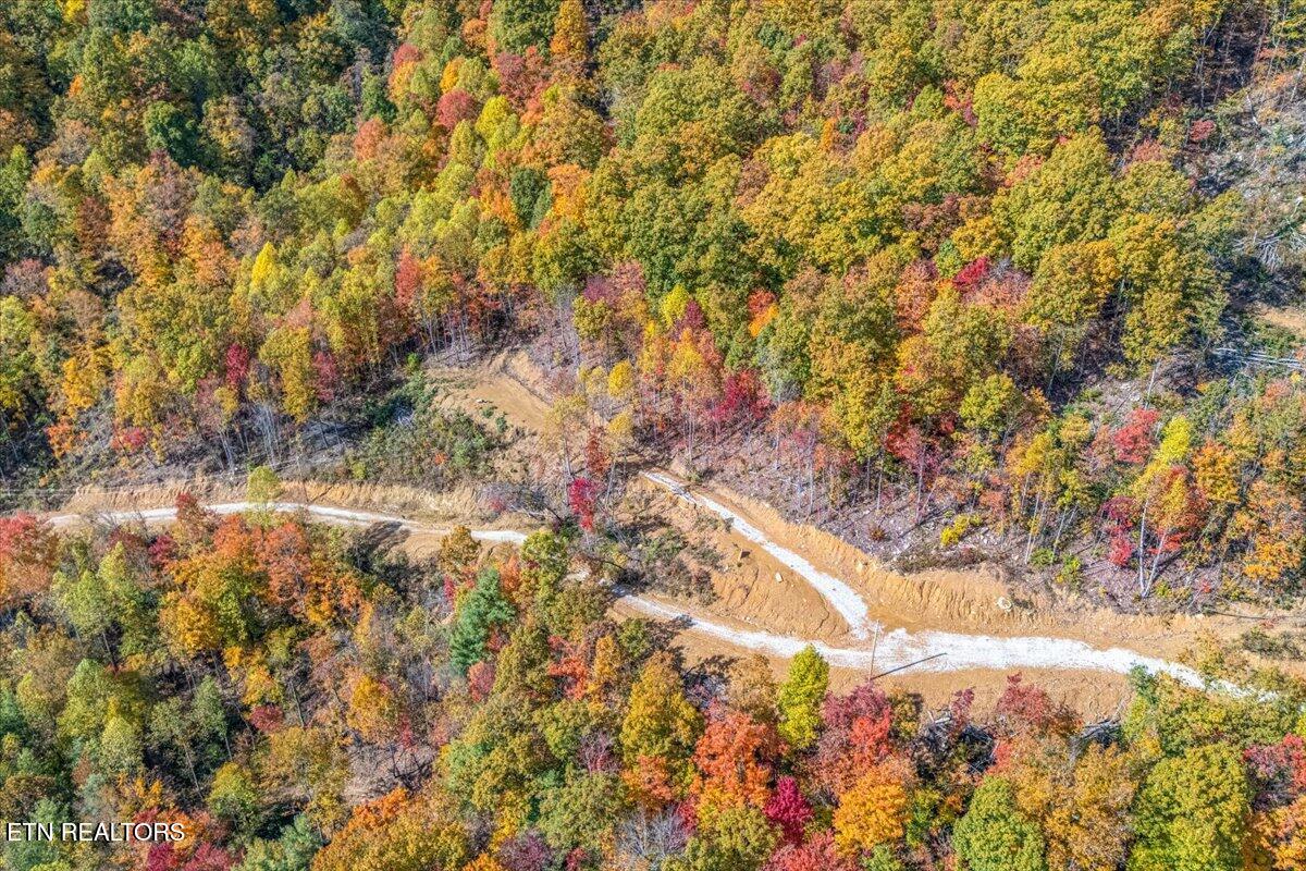 00 Buffalo Road Oneida TN 37841