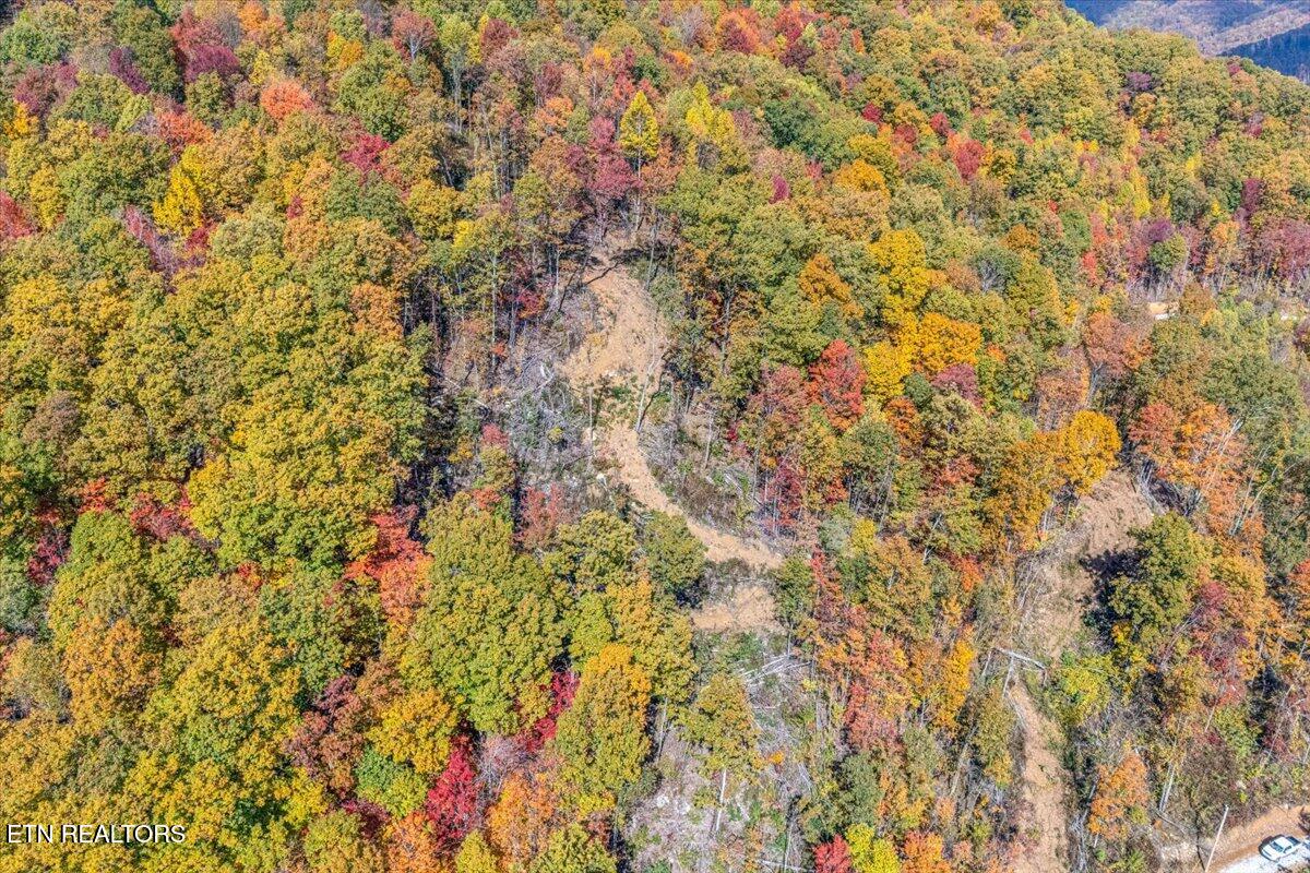 00 Buffalo Road Oneida TN 37841