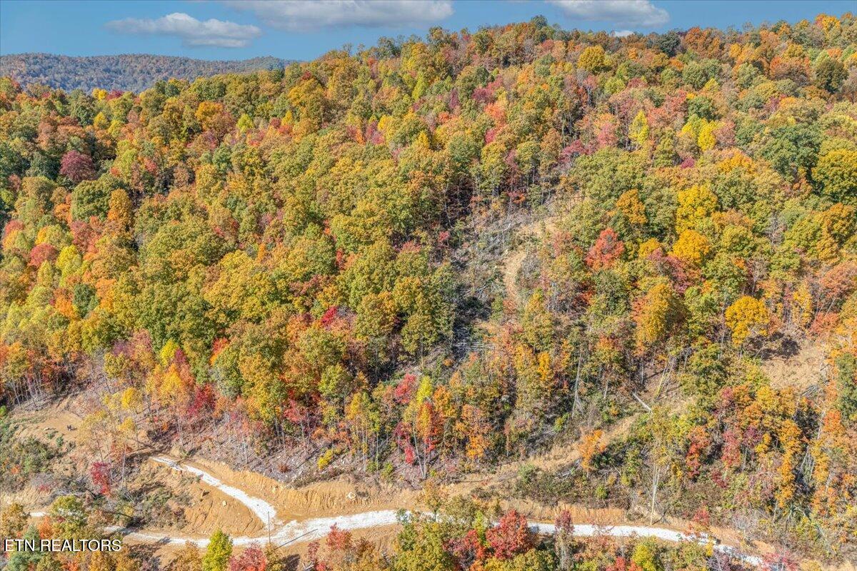 00 Buffalo Road Oneida TN 37841