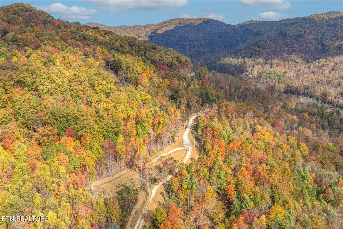 00 Buffalo Road Oneida TN 37841