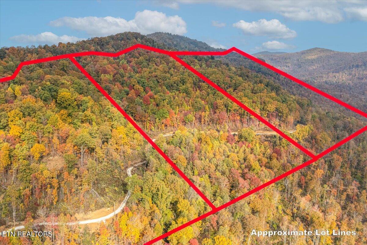 00 Buffalo Road Oneida TN 37841