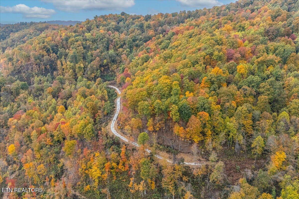 00 Buffalo Road Oneida TN 37841