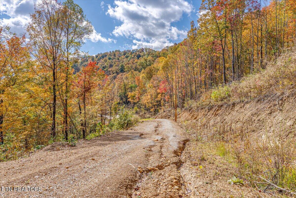 00 Buffalo Road Oneida TN 37841
