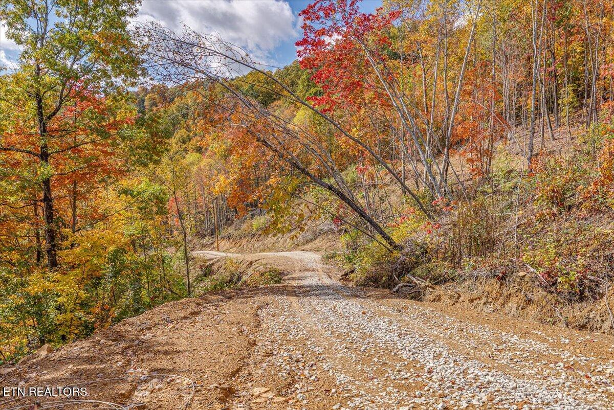 00 Buffalo Road Oneida TN 37841