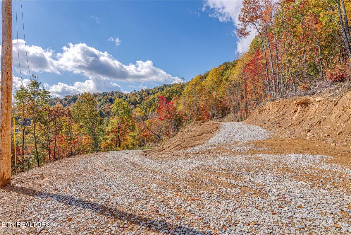00 Buffalo Road Oneida TN 37841