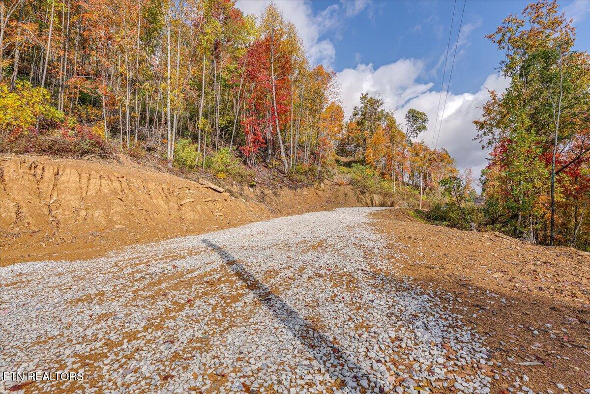 00 Buffalo Road Oneida TN 37841