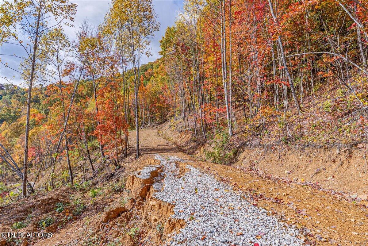 00 Buffalo Road Oneida TN 37841