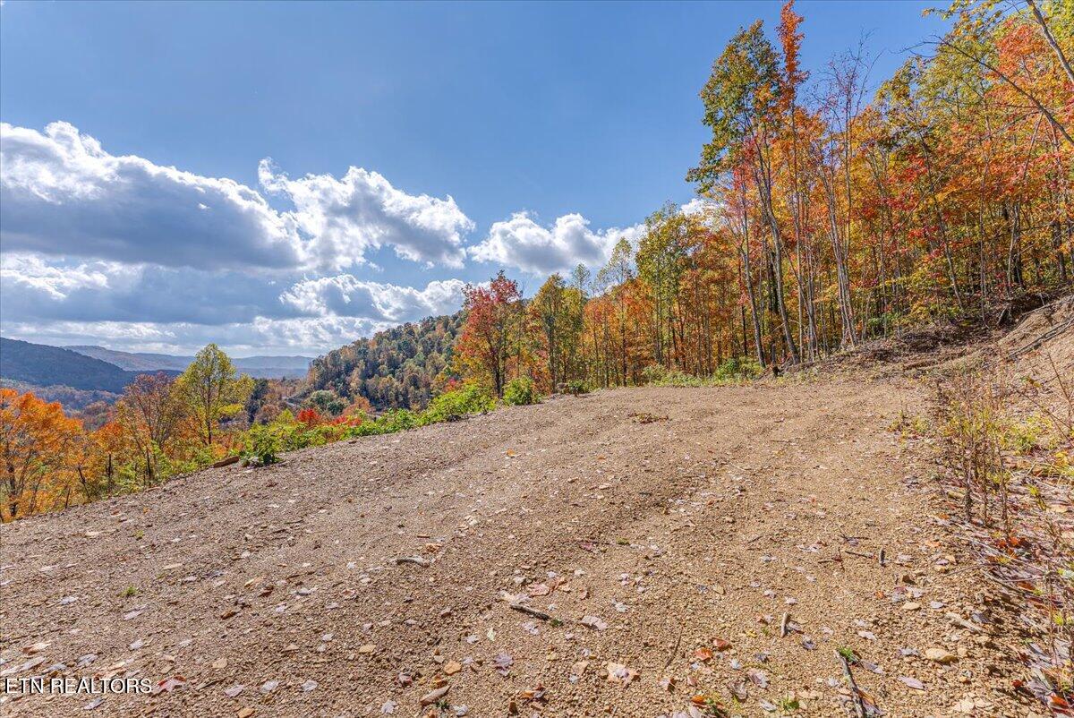 00 Buffalo Road Oneida TN 37841