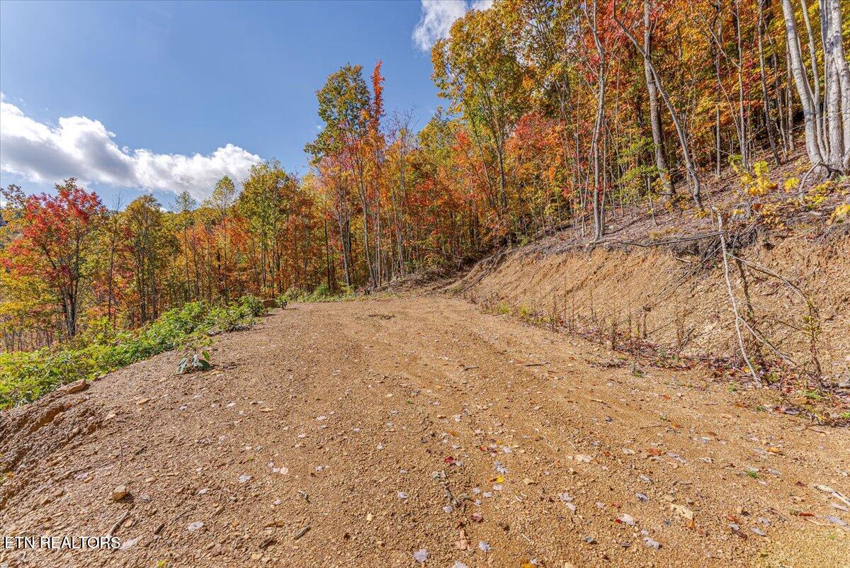 00 Buffalo Road Oneida TN 37841
