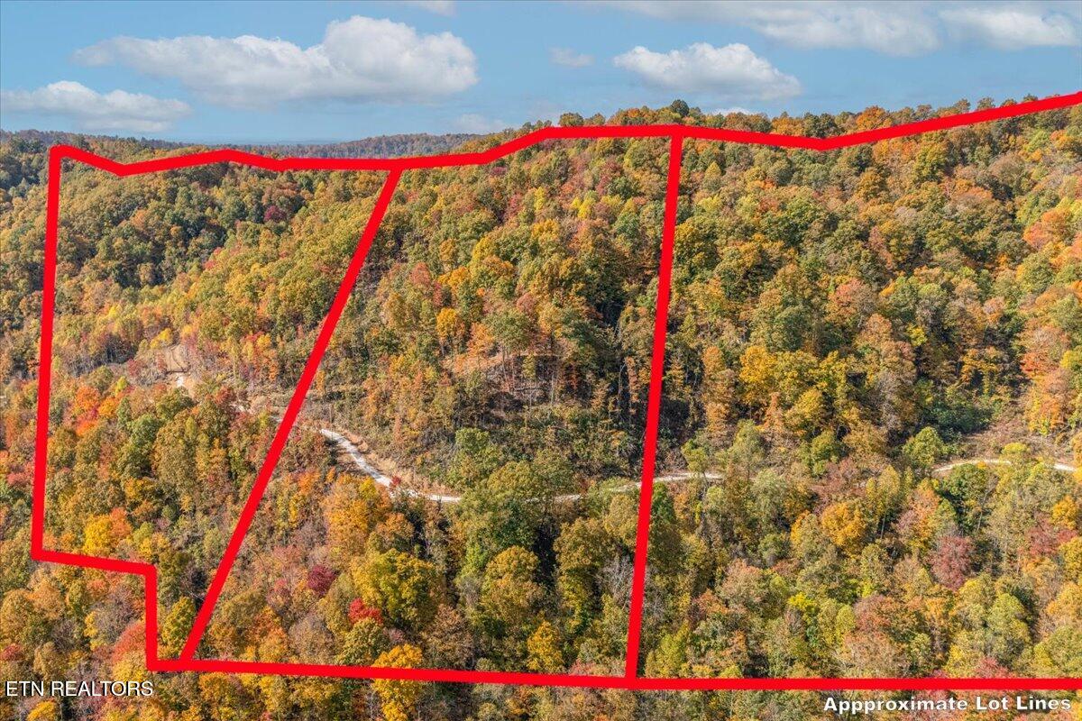 00 Buffalo Road Oneida TN 37841