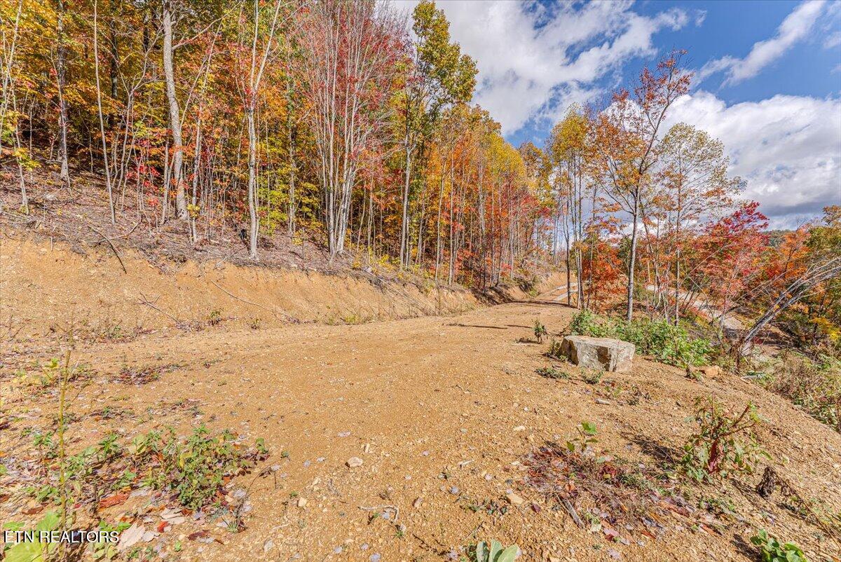 00 Buffalo Road Oneida TN 37841
