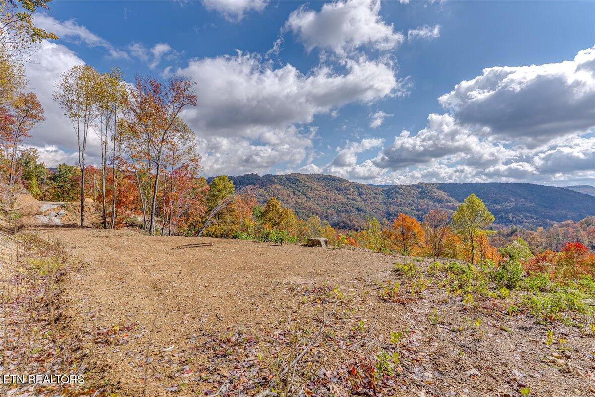 00 Buffalo Road Oneida TN 37841