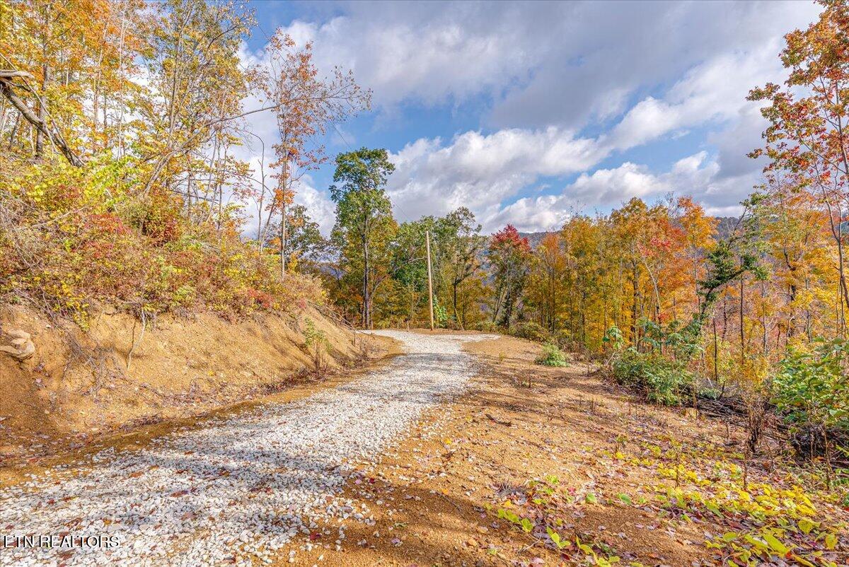 00 Buffalo Road Oneida TN 37841
