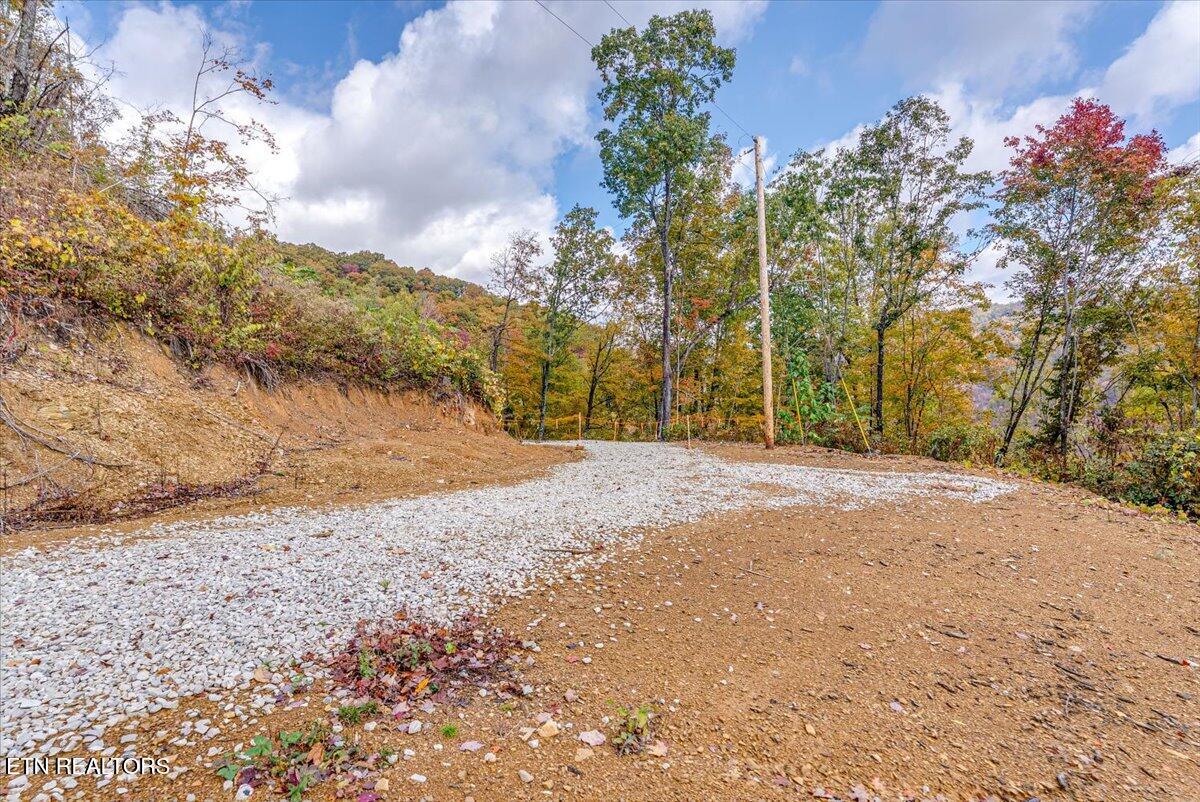00 Buffalo Road Oneida TN 37841