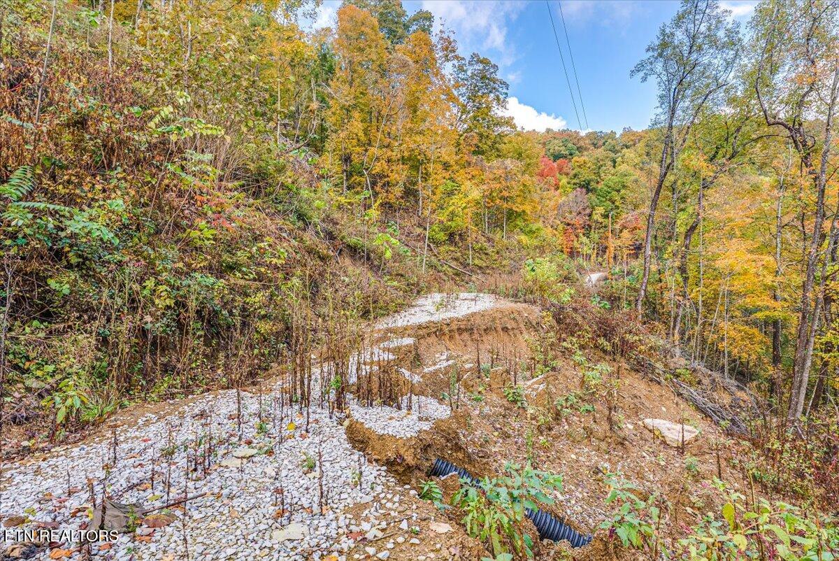00 Buffalo Road Oneida TN 37841