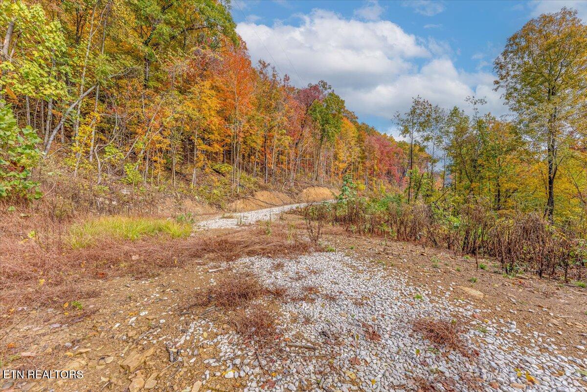 00 Buffalo Road Oneida TN 37841