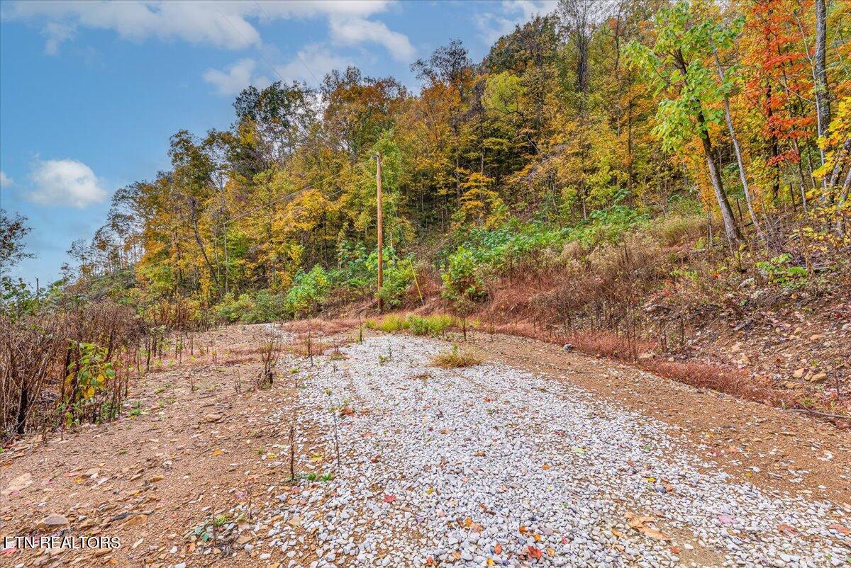 00 Buffalo Road Oneida TN 37841