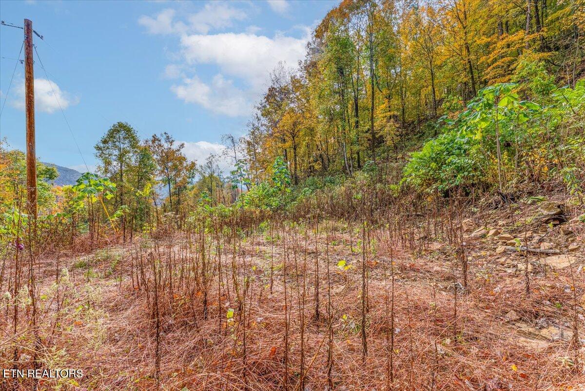 00 Buffalo Road Oneida TN 37841