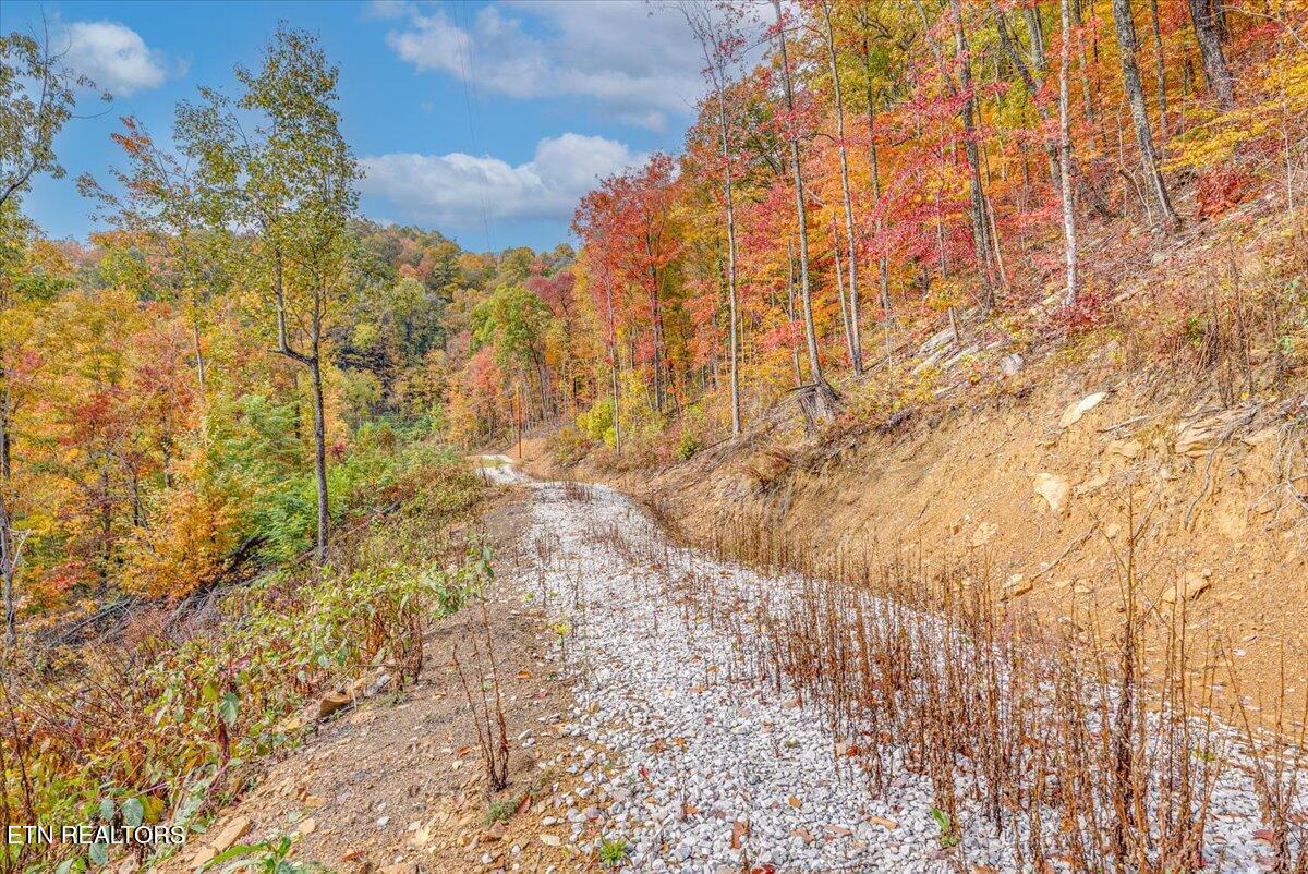 00 Buffalo Road Oneida TN 37841