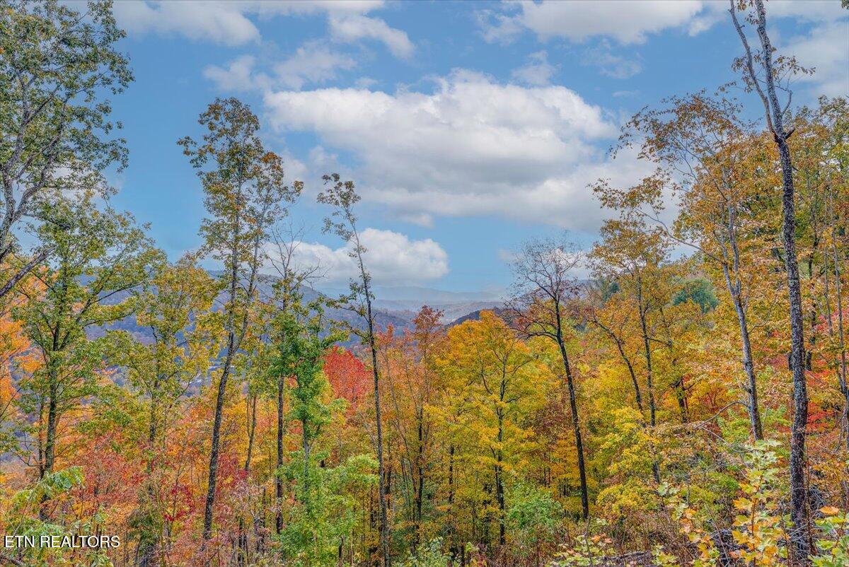 00 Buffalo Road Oneida TN 37841
