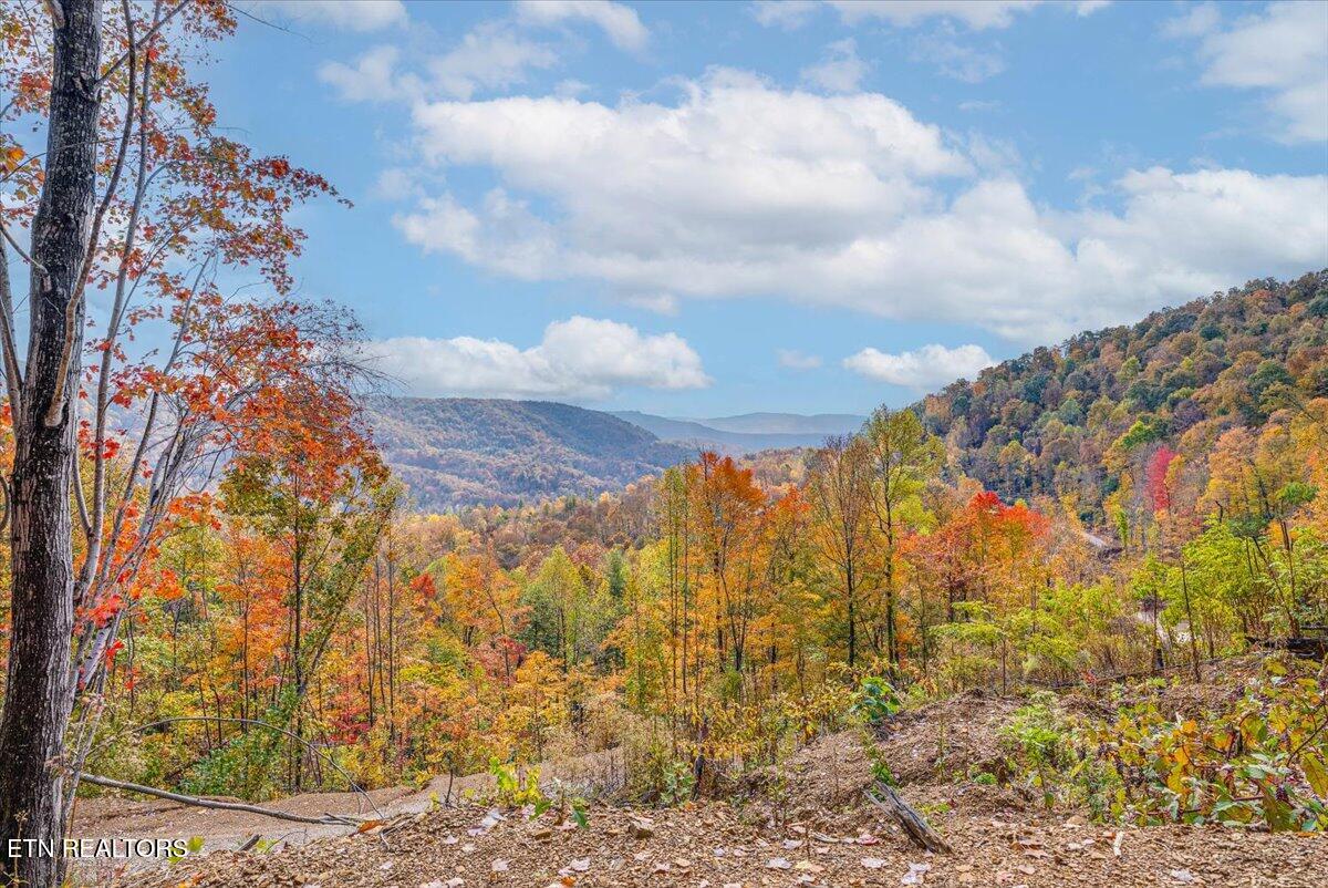 00 Buffalo Road Oneida TN 37841