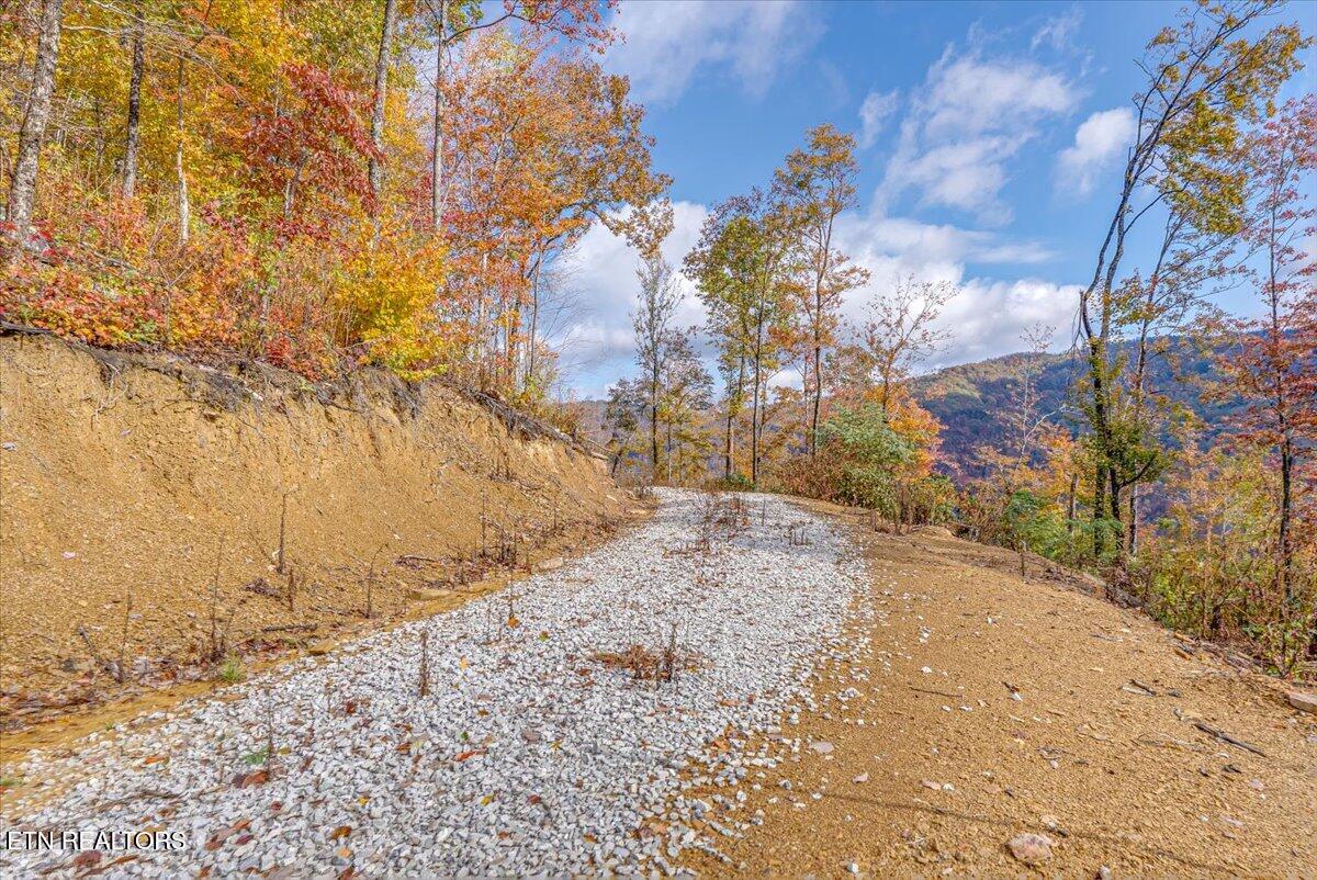 00 Buffalo Road Oneida TN 37841