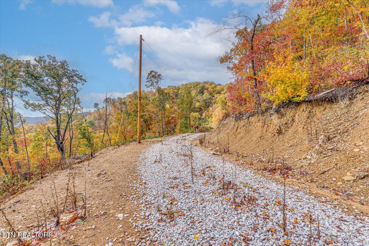 00 Buffalo Road Oneida TN 37841