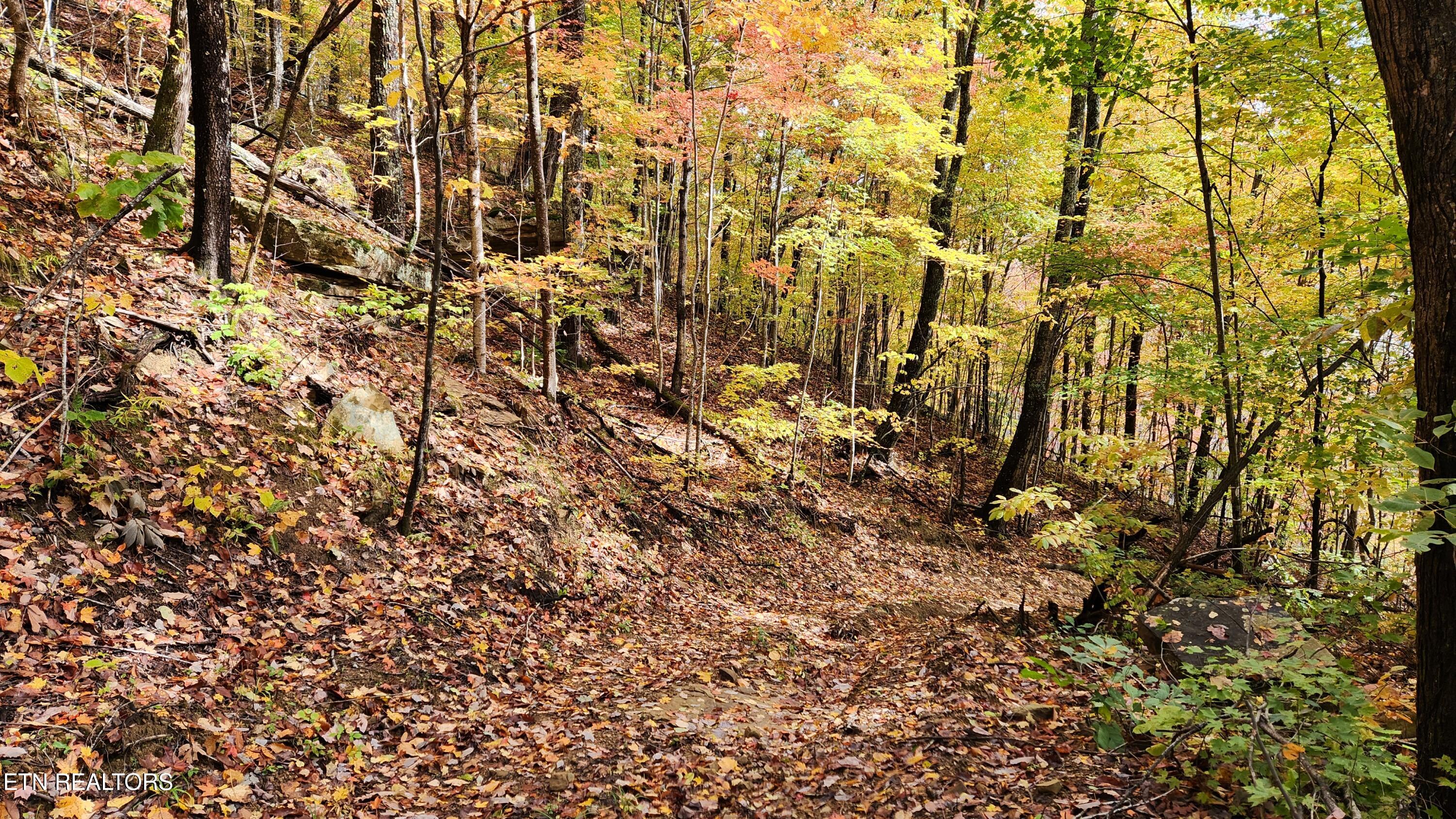 00 Buffalo Road Oneida TN 37841