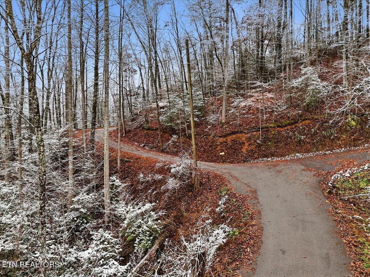 Par 202.03 Autumn Lane Gatlinburg TN 37738