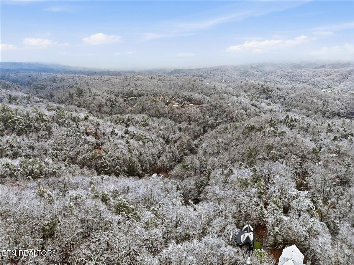 Par 202.03 Autumn Lane Gatlinburg TN 37738
