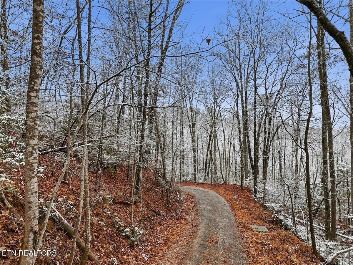 Par 202.03 Autumn Lane Gatlinburg TN 37738