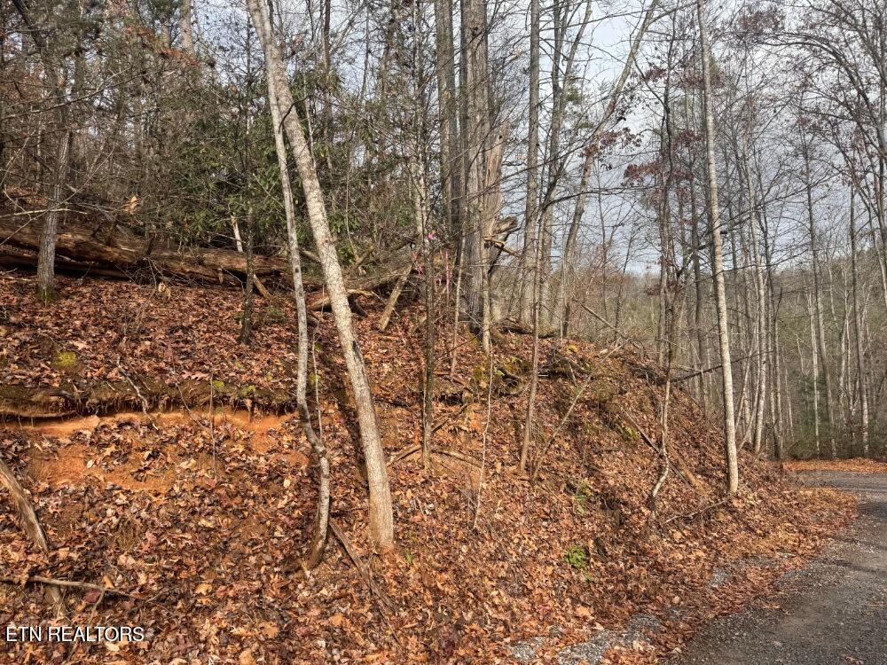 Par 202.03 Autumn Lane Gatlinburg TN 37738