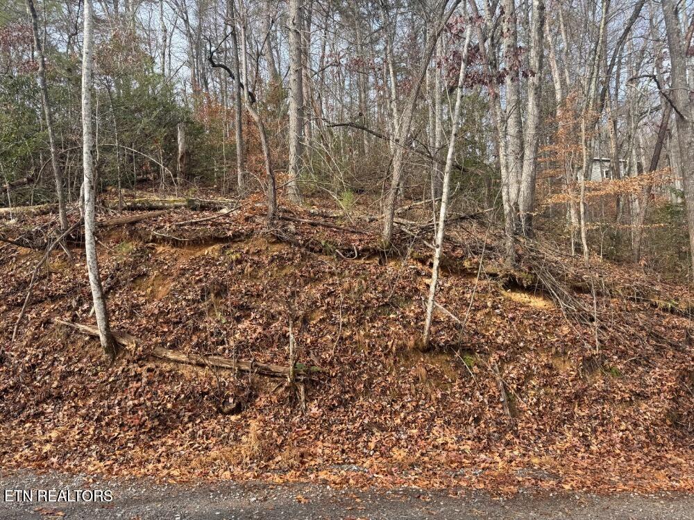 Par 202.03 Autumn Lane Gatlinburg TN 37738