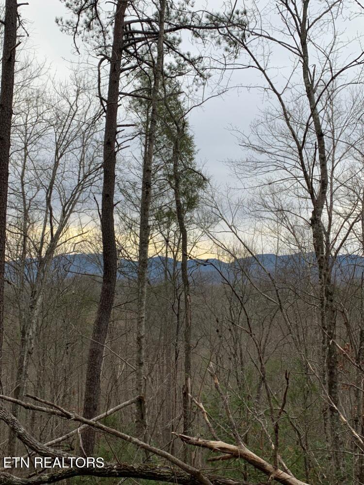 Par 202.03 Autumn Lane Gatlinburg TN 37738