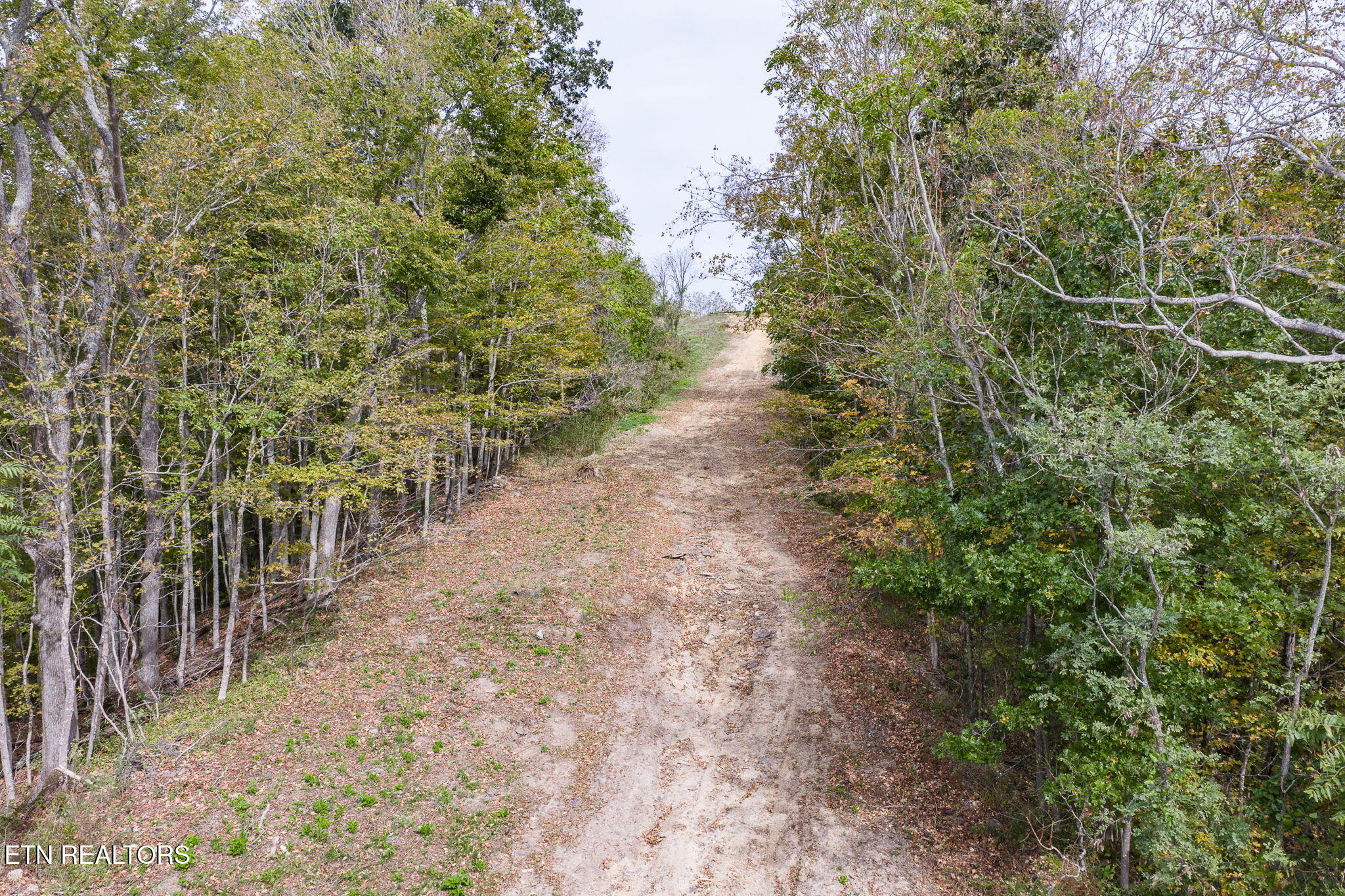 7.4 Ac Helms Hollow Road Silver Point TN 38582