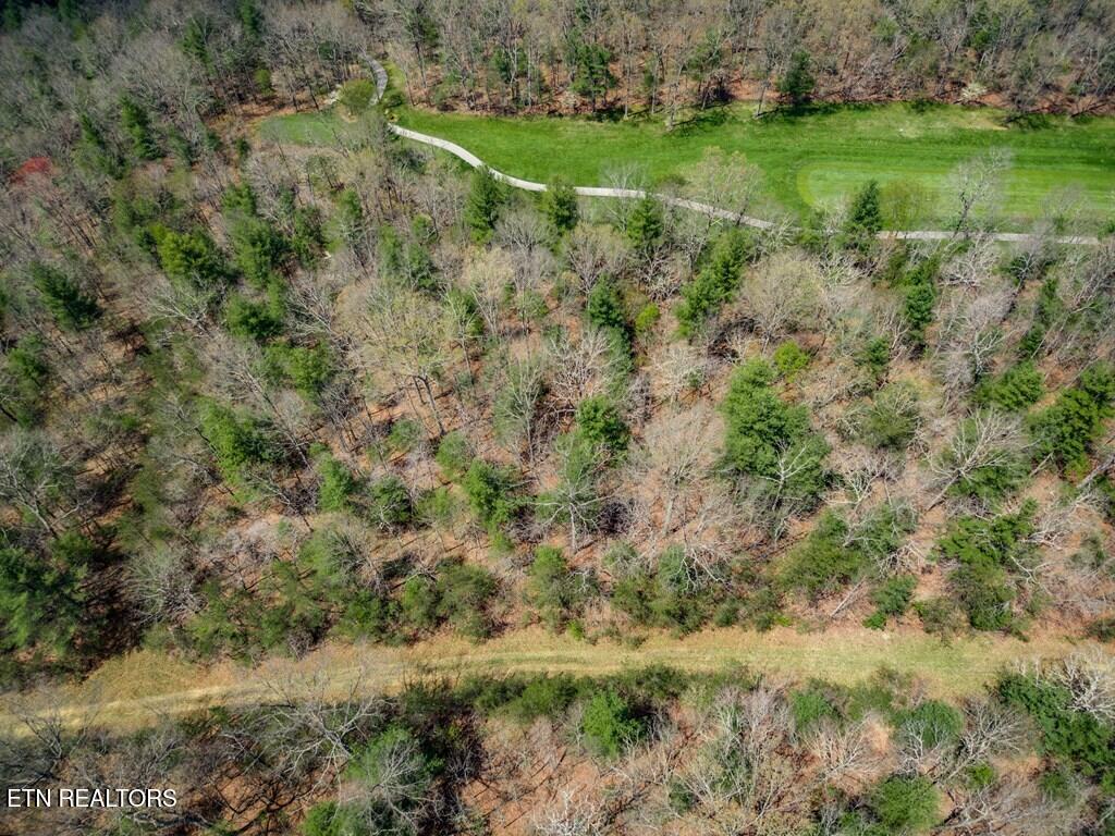 115 Ayrshire Drive Crossville TN 38558