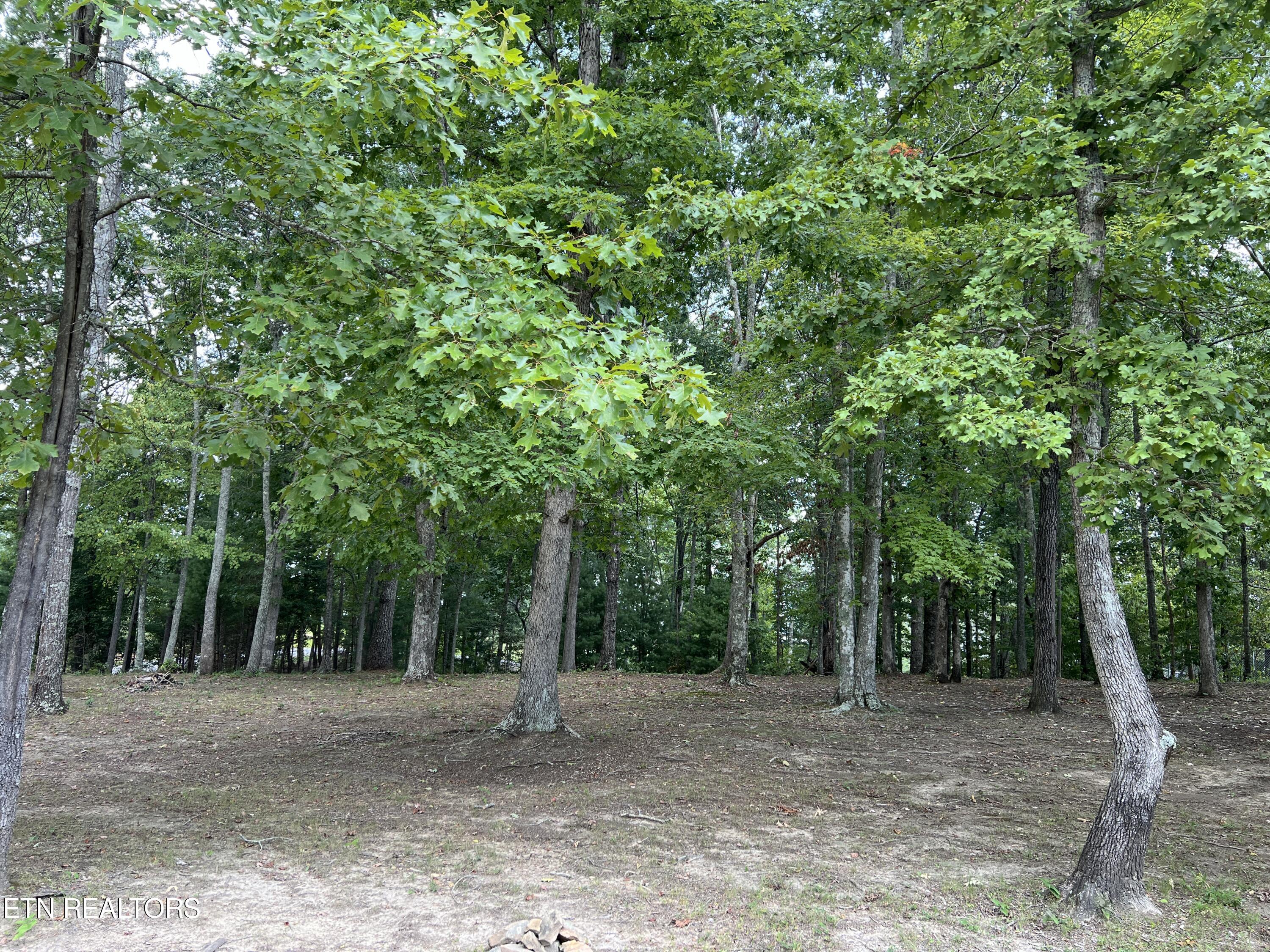 171 Dakota Trail Rockwood TN 37854