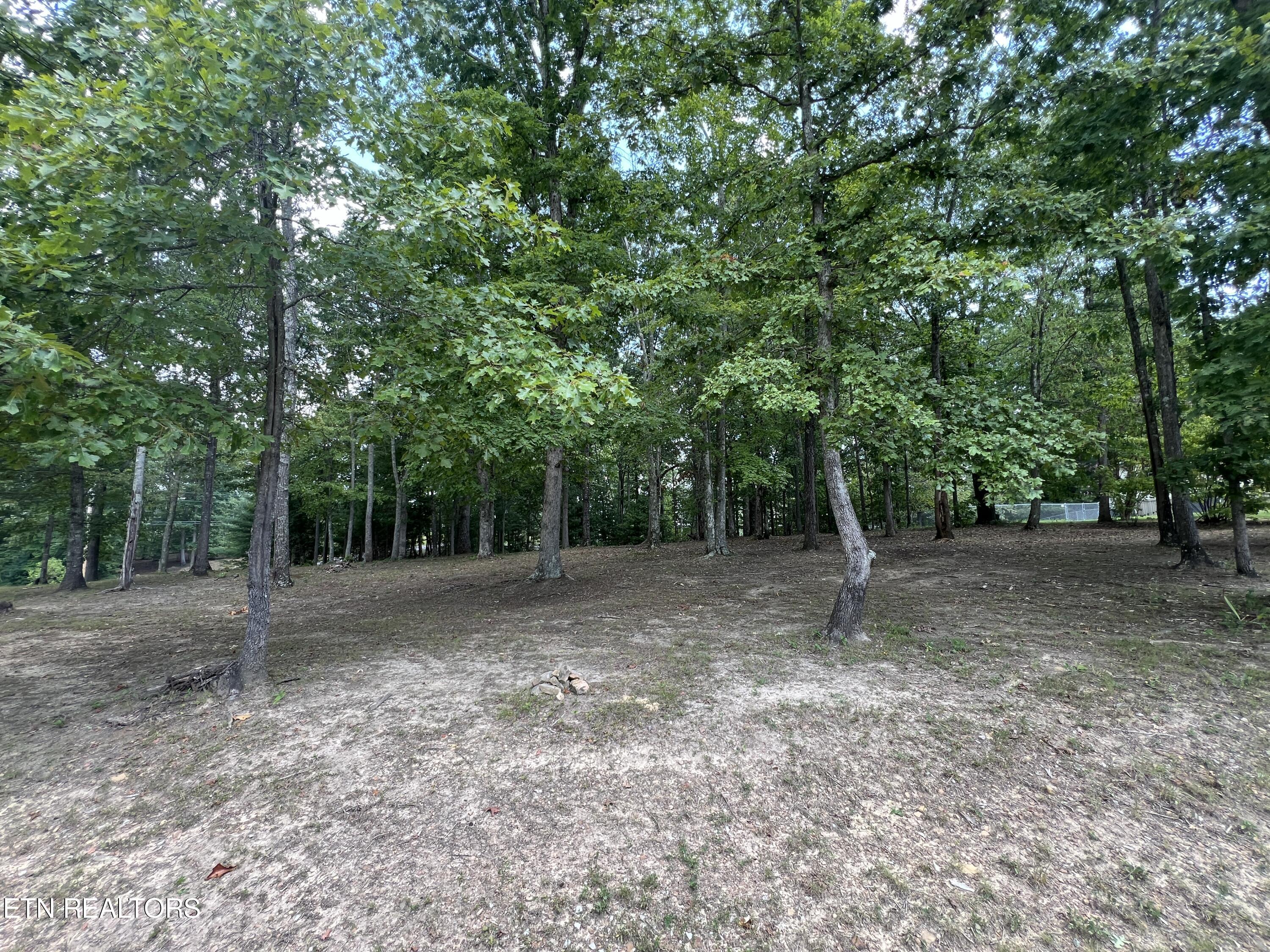 171 Dakota Trail Rockwood TN 37854