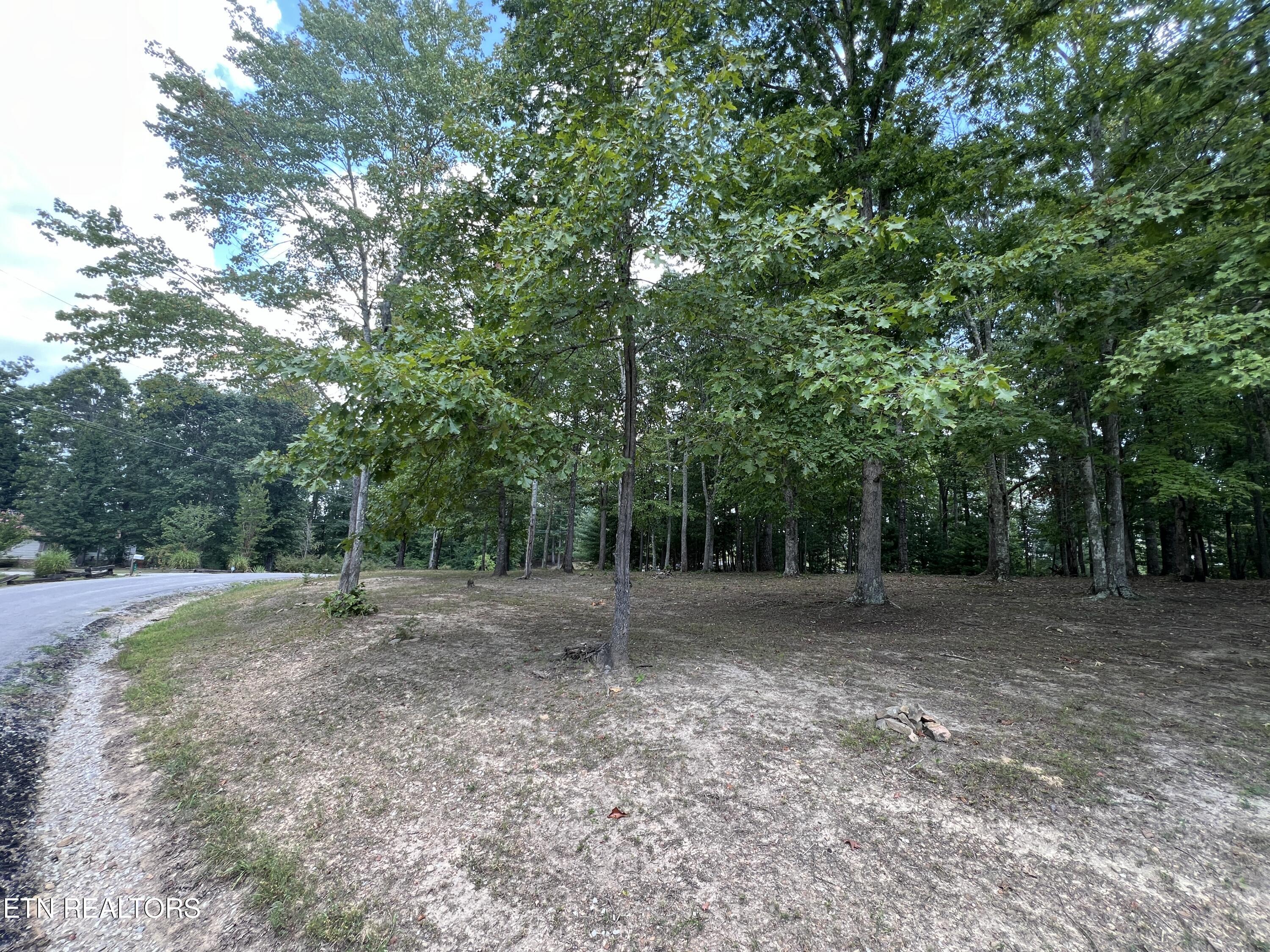 171 Dakota Trail Rockwood TN 37854