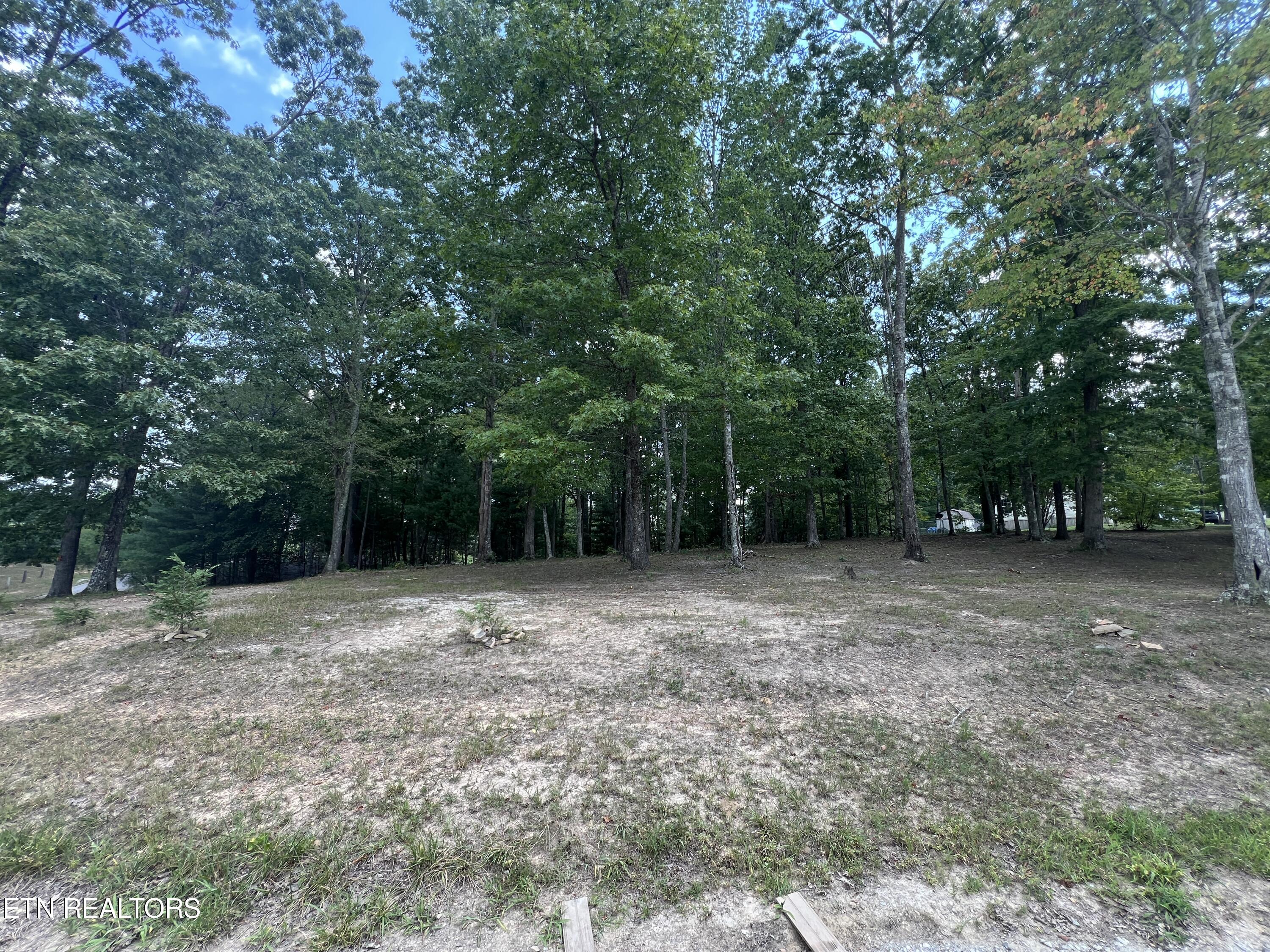 171 Dakota Trail Rockwood TN 37854